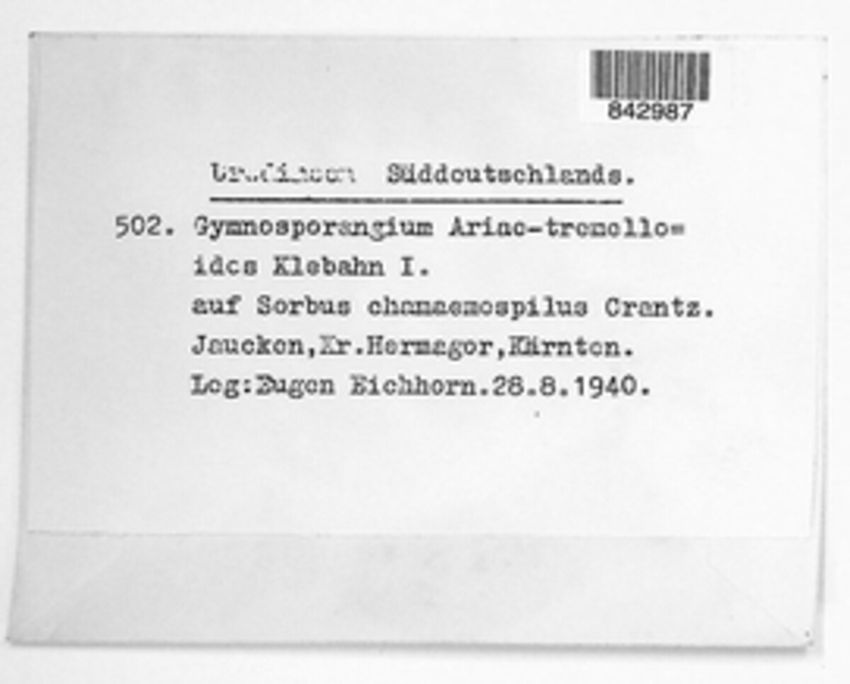 Gymnosporangium tremelloides image
